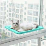 Cat Hammock Suction Cup Wall Mounted Window Hammock