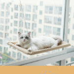 Cat Hammock Suction Cup Wall Mounted Window Hammock