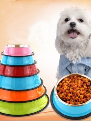 pet bowl pet feeding basin