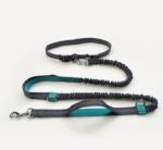 Amazon direct pet supplies multi-function running reflective pull dog leash double elastic dog leash traction