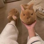 Cute Fluffy Bunny Warm Padded Cotton Slippers For Women