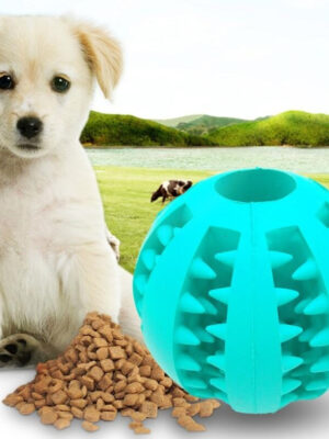 Pet Slow Feeder Dog Toy Cute Funny Rubber Dog Ball Toy